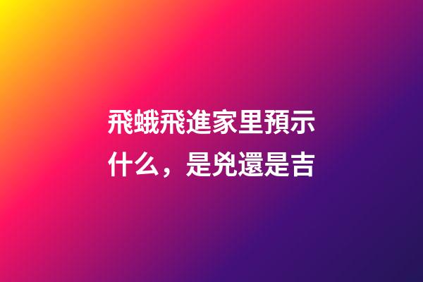 飛蛾飛進家里預示什么，是兇還是吉