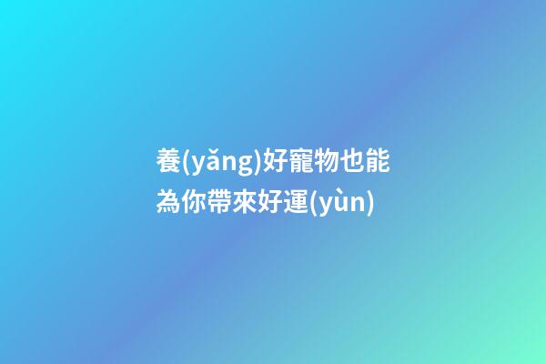 養(yǎng)好寵物也能為你帶來好運(yùn)