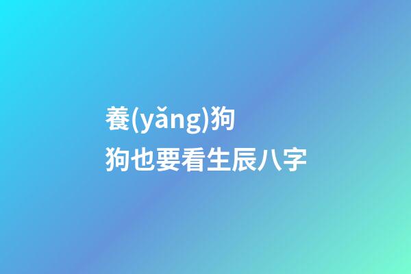 養(yǎng)狗狗也要看生辰八字