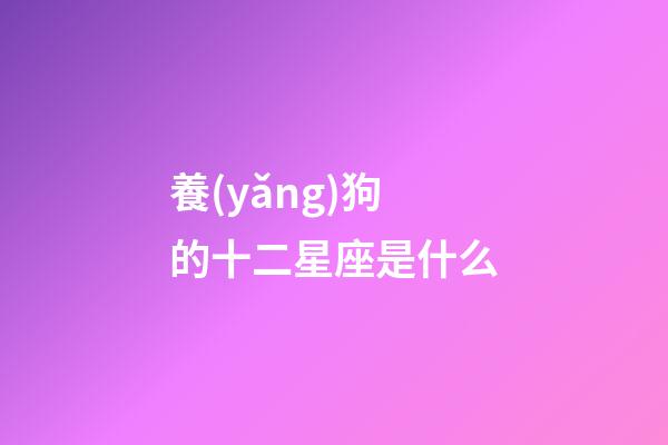養(yǎng)狗的十二星座是什么-第1張-星座運(yùn)勢-玄機(jī)派