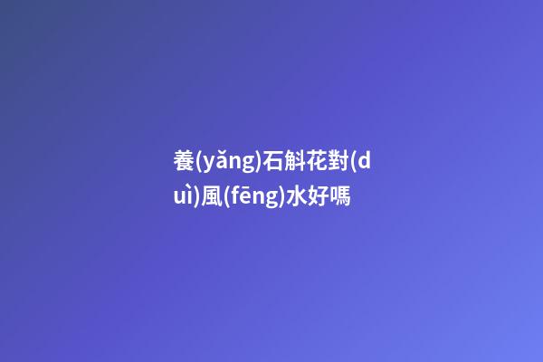 養(yǎng)石斛花對(duì)風(fēng)水好嗎