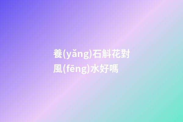 養(yǎng)石斛花對風(fēng)水好嗎