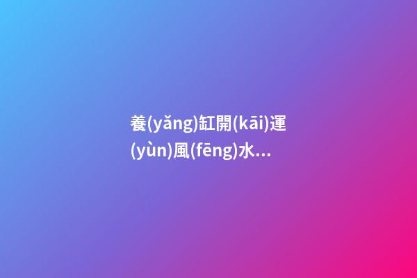 養(yǎng)缸開(kāi)運(yùn)風(fēng)水魚(yú)竅門