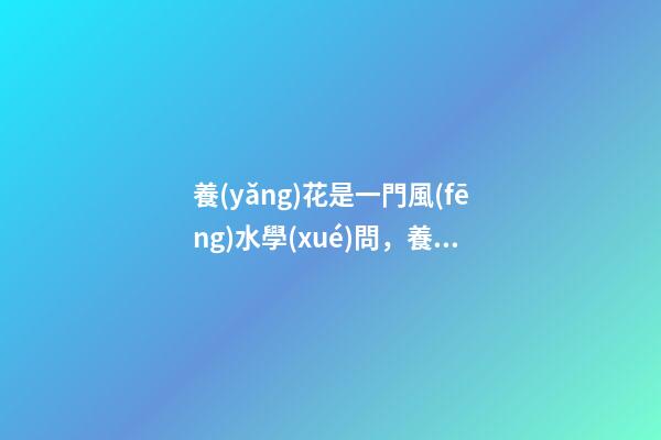 養(yǎng)花是一門風(fēng)水學(xué)問，養(yǎng)不同的花會帶來不同的運(yùn)氣
