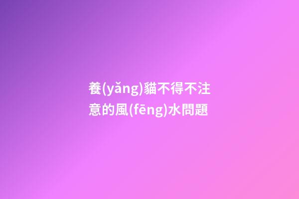 養(yǎng)貓不得不注意的風(fēng)水問題