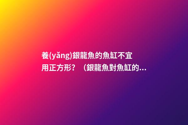 養(yǎng)銀龍魚的魚缸不宜用正方形？（銀龍魚對魚缸的要求）