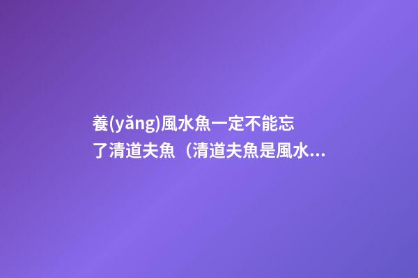 養(yǎng)風水魚一定不能忘了清道夫魚（清道夫魚是風水魚嗎）