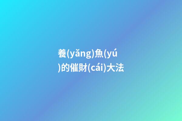 養(yǎng)魚(yú)的催財(cái)大法