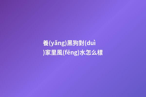 養(yǎng)黑狗對(duì)家里風(fēng)水怎么樣