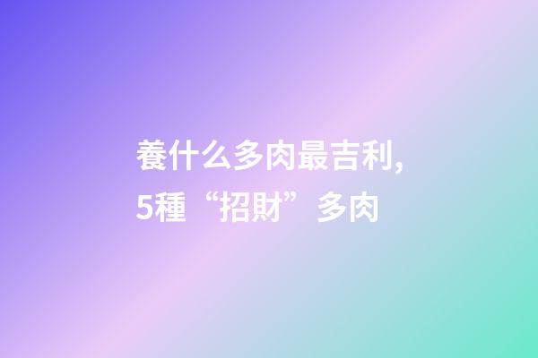 養什么多肉最吉利,5種“招財”多肉-第1張-觀點-玄機派