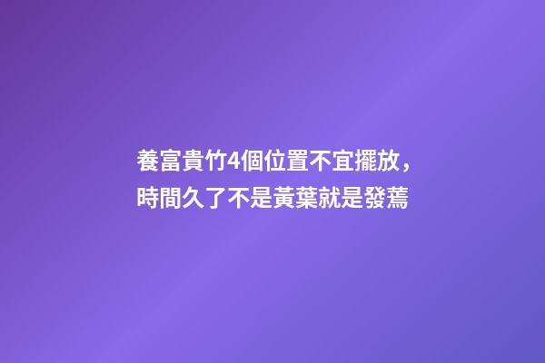 養富貴竹4個位置不宜擺放，時間久了不是黃葉就是發蔫