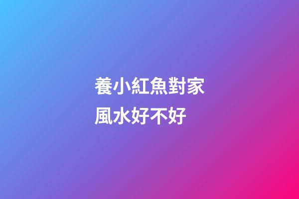 養小紅魚對家風水好不好