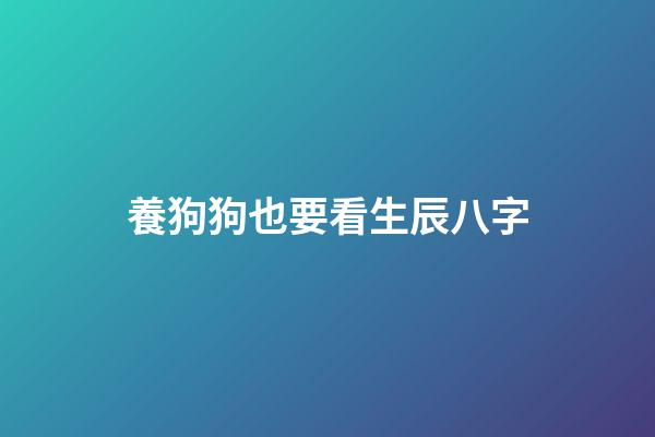 養狗狗也要看生辰八字