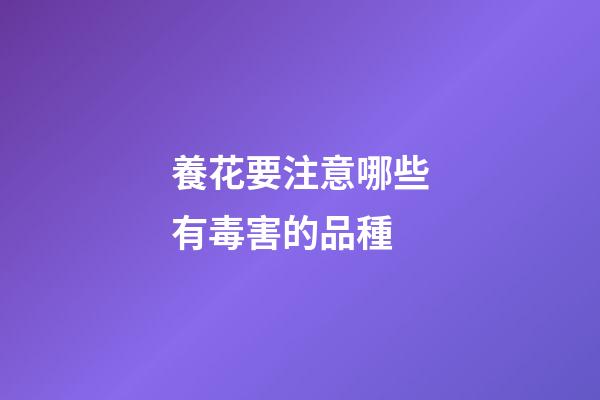 養花要注意哪些有毒害的品種