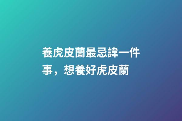 養虎皮蘭最忌諱一件事，想養好虎皮蘭-第1張-觀點-玄機派