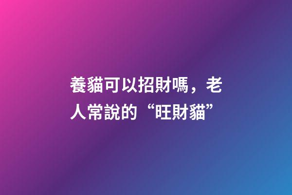 養貓可以招財嗎，老人常說的“旺財貓”-第1張-觀點-玄機派