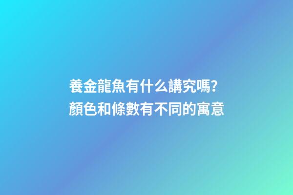 養金龍魚有什么講究嗎？顏色和條數有不同的寓意