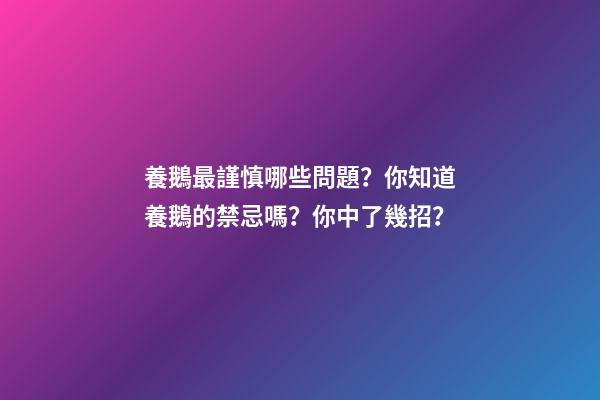 養鵝最謹慎哪些問題？你知道養鵝的禁忌嗎？你中了幾招？