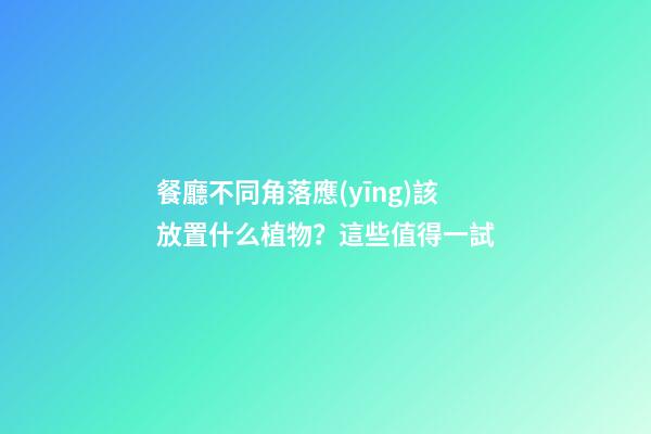 餐廳不同角落應(yīng)該放置什么植物？這些值得一試
