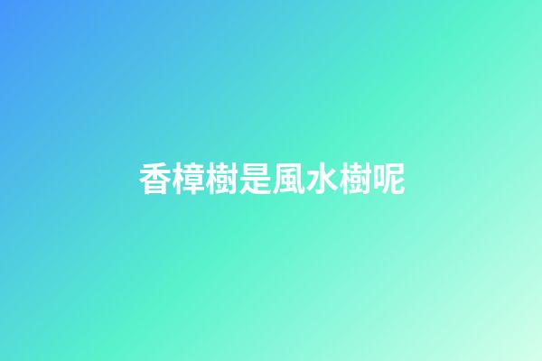 香樟樹是風水樹呢