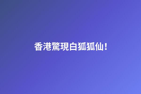 香港驚現白狐狐仙！