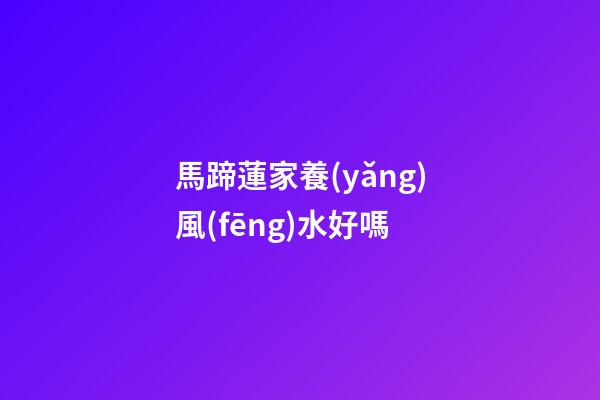 馬蹄蓮家養(yǎng)風(fēng)水好嗎