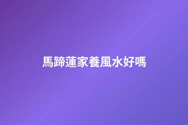 馬蹄蓮家養風水好嗎