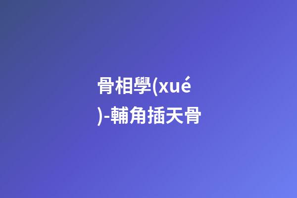 骨相學(xué)-輔角插天骨
