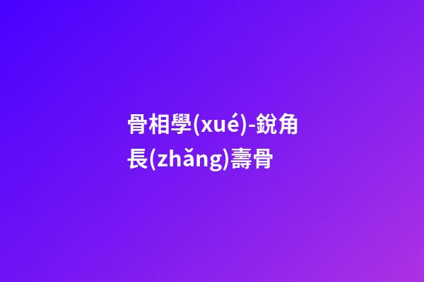 骨相學(xué)-銳角長(zhǎng)壽骨