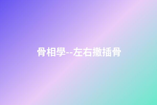骨相學--左右撒插骨