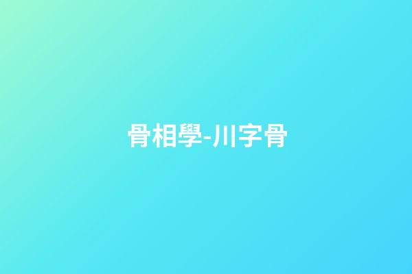 骨相學-川字骨