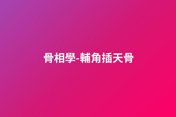 骨相學-輔角插天骨