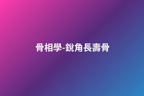 骨相學-銳角長壽骨