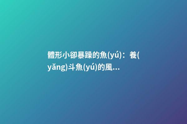 體形小卻暴躁的魚(yú)：養(yǎng)斗魚(yú)的風(fēng)水如何