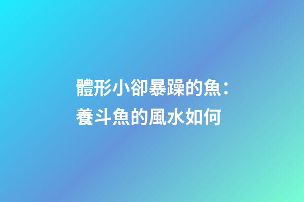 體形小卻暴躁的魚：養斗魚的風水如何