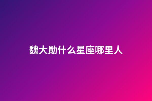 魏大勛什么星座哪里人-第1張-星座運勢-玄機派