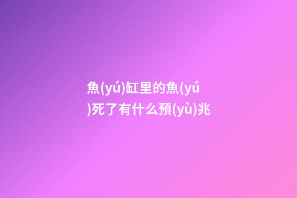 魚(yú)缸里的魚(yú)死了有什么預(yù)兆