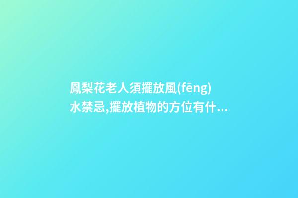鳳梨花老人須擺放風(fēng)水禁忌,擺放植物的方位有什么風(fēng)水禁忌的呢