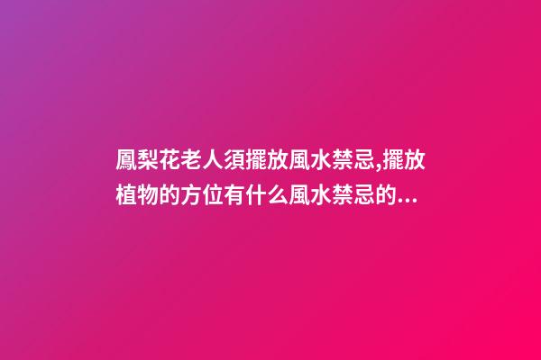 鳳梨花老人須擺放風水禁忌,擺放植物的方位有什么風水禁忌的呢