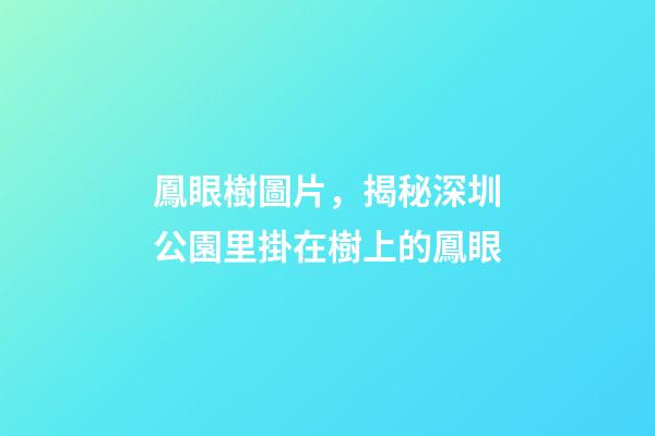 鳳眼樹圖片，揭秘深圳公園里掛在樹上的鳳眼-第1張-觀點-玄機派