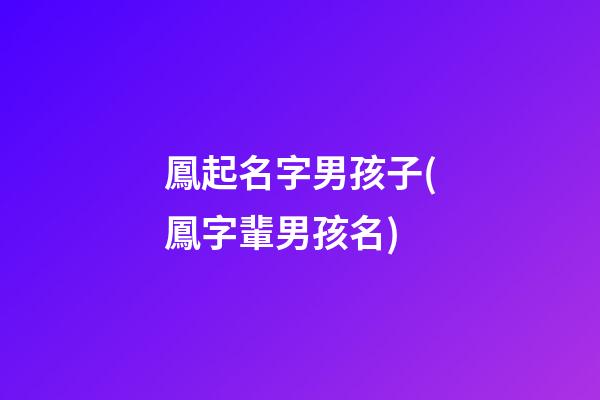 鳳起名字男孩子(鳳字輩男孩名)