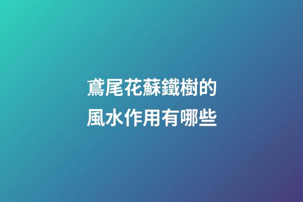 鳶尾花蘇鐵樹的風水作用有哪些?