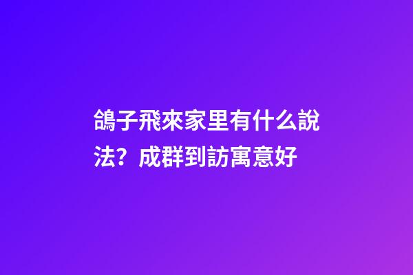 鴿子飛來家里有什么說法？成群到訪寓意好