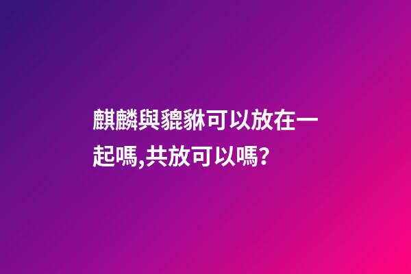 麒麟與貔貅可以放在一起嗎,共放可以嗎？