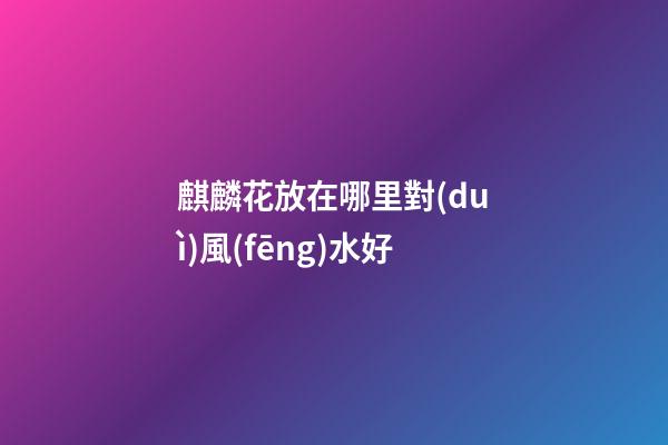 麒麟花放在哪里對(duì)風(fēng)水好