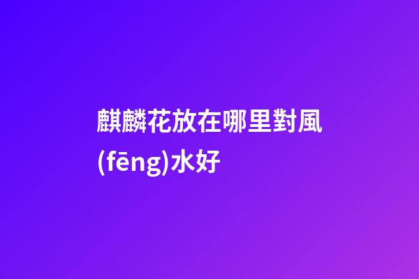 麒麟花放在哪里對風(fēng)水好
