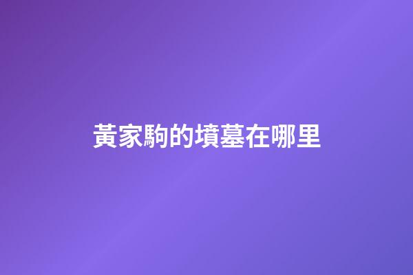 黃家駒的墳墓在哪里