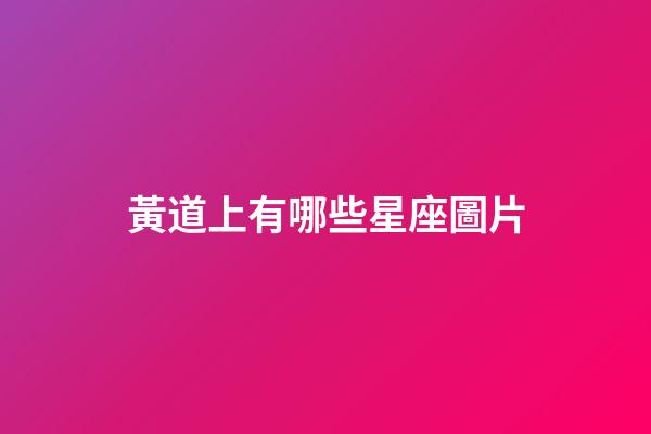 黃道上有哪些星座圖片-第1張-星座運勢-玄機派