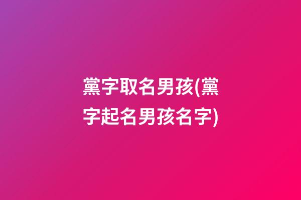 黨字取名男孩(黨字起名男孩名字)