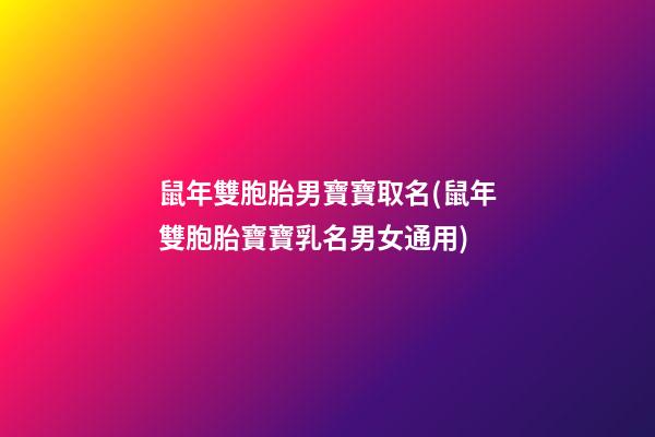 鼠年雙胞胎男寶寶取名(鼠年雙胞胎寶寶乳名男女通用)